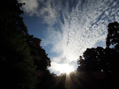 DSCN0724.JPG