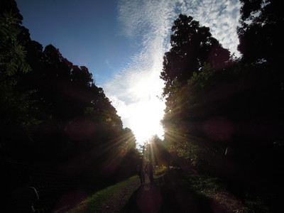 DSCN0725.JPG