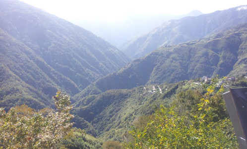 IMG_20111106_093447.jpg
