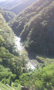 IMG_20111106_101306.jpg