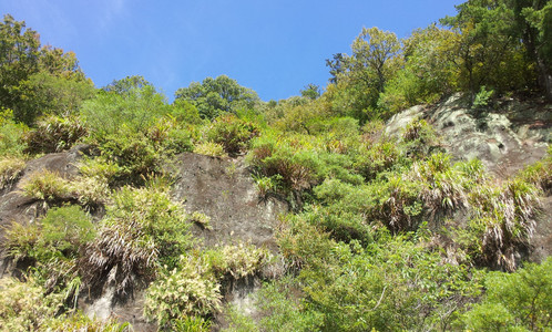 IMG_20111106_102325.jpg