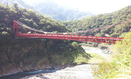 IMG_20111106_102405.jpg