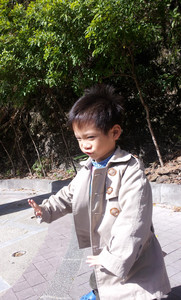IMG_20111106_102500.jpg