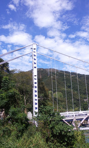 IMG_20111106_122357.jpg