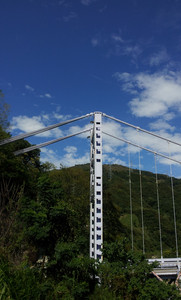 IMG_20111106_123058.jpg