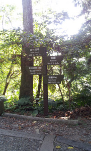 IMG_20111106_145400.jpg