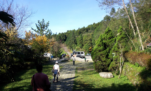 IMG_20111106_150046.jpg