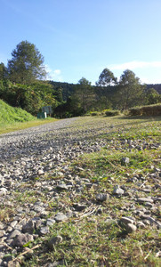 IMG_20111106_154335.jpg