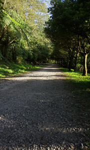 IMG_20111106_154553.jpg