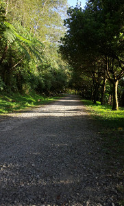 IMG_20111106_154559.jpg