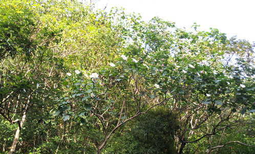 IMG_20111106_154946.jpg