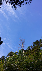 IMG_20111106_155012.jpg