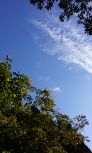 IMG_20111106_155414.jpg