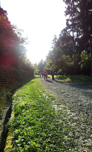 IMG_20111106_155908.jpg