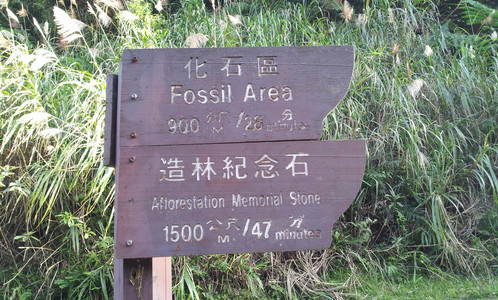 IMG_20111106_160322.jpg