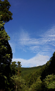 IMG_20111106_160413.jpg