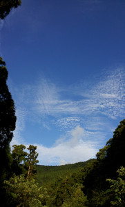 IMG_20111106_160427.jpg