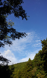 IMG_20111106_160809.jpg