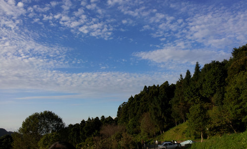 IMG_20111106_161617.jpg