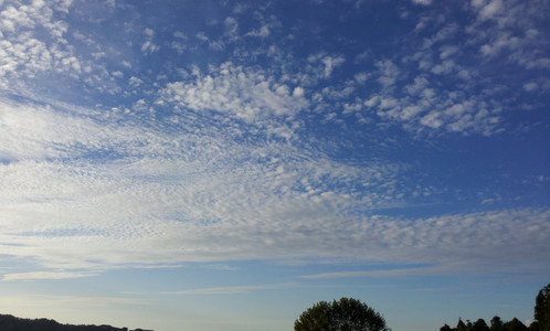 IMG_20111106_161625.jpg