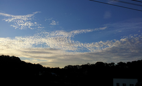IMG_20111106_164814.jpg