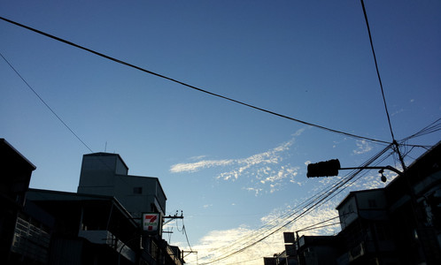 IMG_20111106_164914.jpg