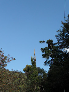 SAM_3211.JPG