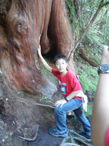 SAM_3283.JPG