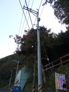 SAM_3418.JPG