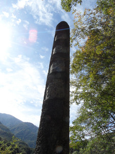 SAM_3479.JPG