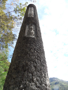 SAM_3484.JPG