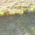 IMG_20111106_161644.jpg