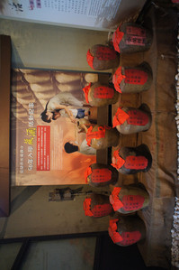 DSC01083.JPG