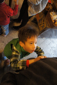 DSC01085.JPG