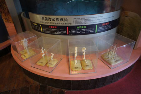 DSC01119.JPG
