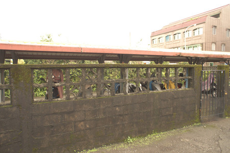 DSC01267.JPG