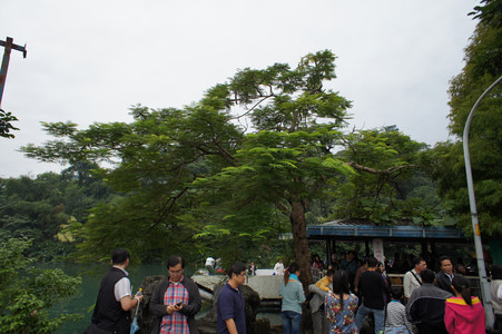 DSC01288.JPG