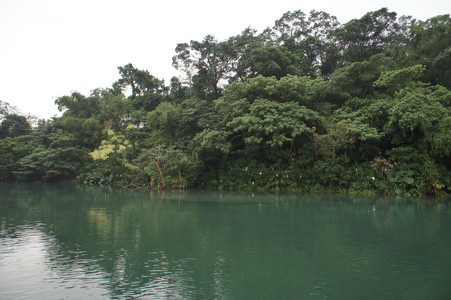 DSC01291.JPG
