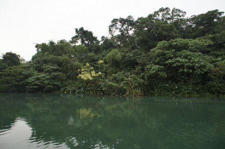 DSC01292.JPG