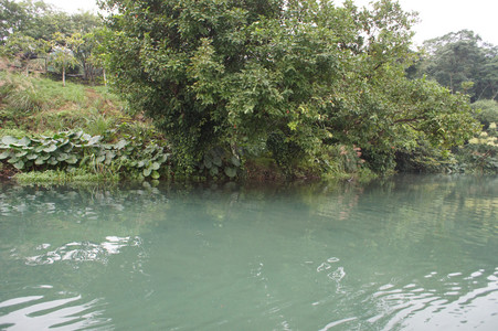 DSC01293.JPG