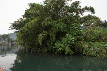DSC01294.JPG