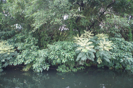 DSC01295.JPG