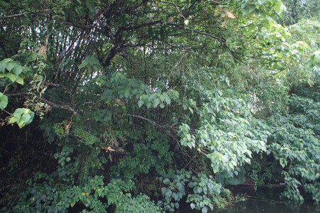 DSC01296.JPG