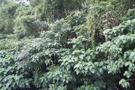 DSC01297.JPG