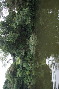 DSC01302.JPG