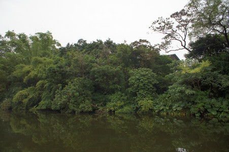 DSC01303.JPG