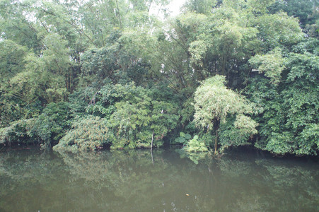 DSC01304.JPG
