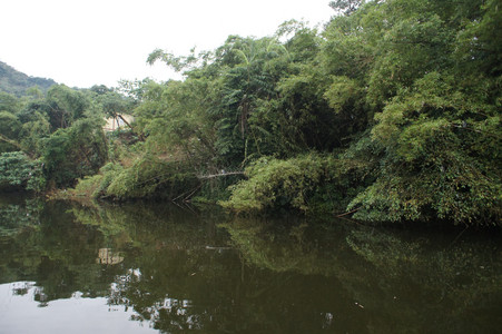 DSC01305.JPG