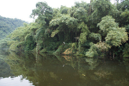 DSC01308.JPG