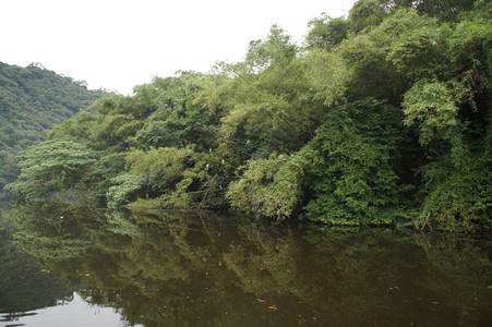 DSC01309.JPG